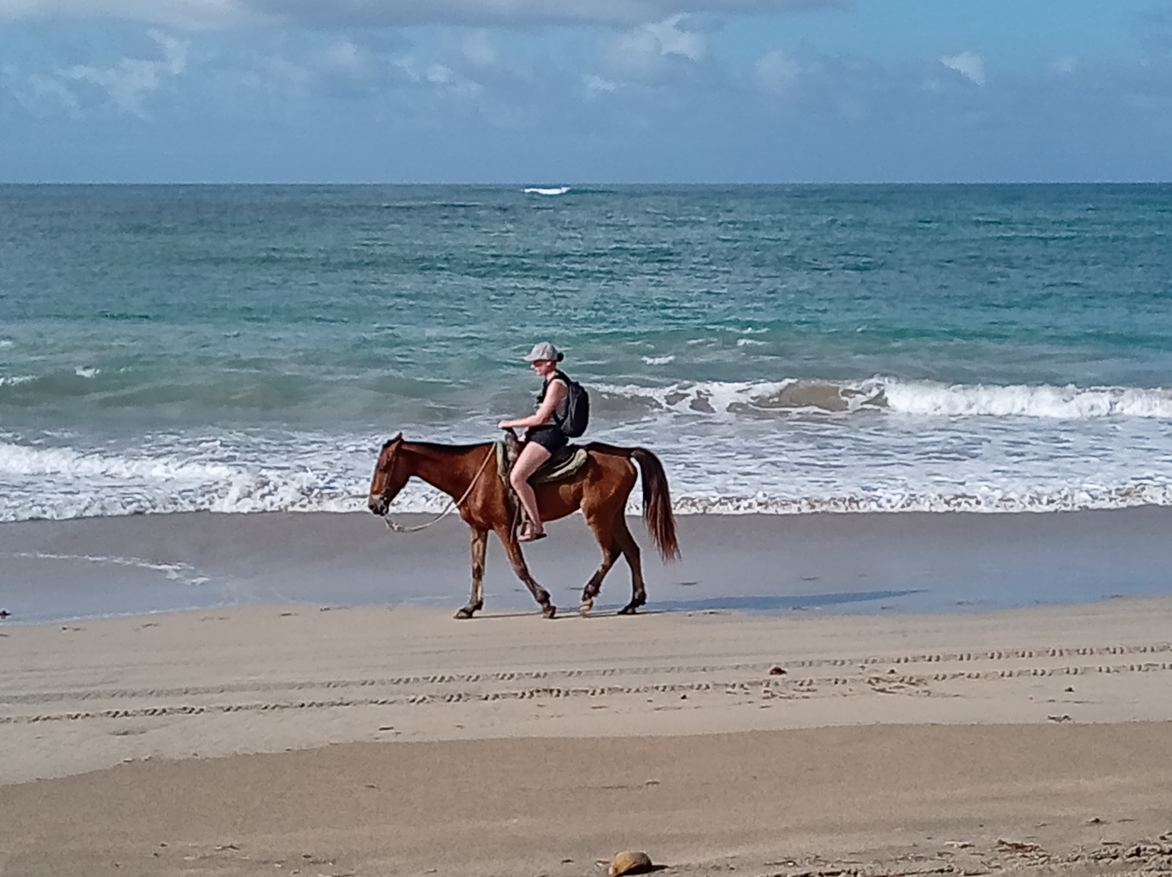 Horseback Beach excursion